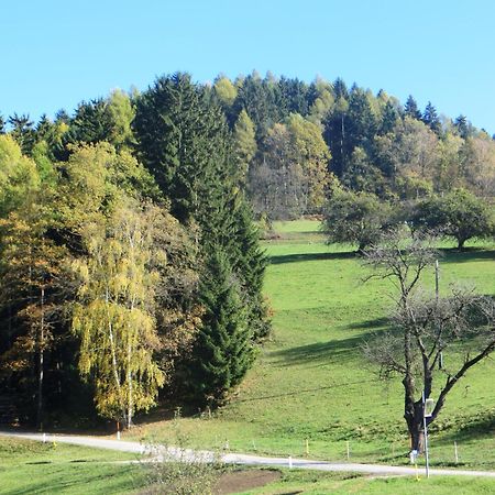 Ferienwohnungen Bauernhof Schilcher Sankt Stefan im Lavanttal Eksteriør bilde