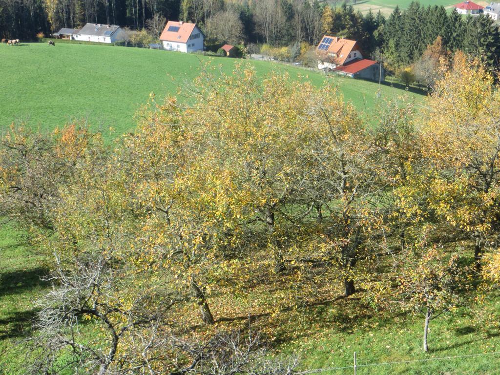 Ferienwohnungen Bauernhof Schilcher Sankt Stefan im Lavanttal Eksteriør bilde